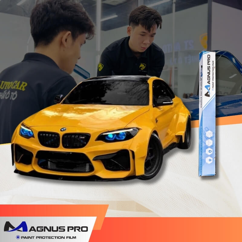 PPF MAGNUS