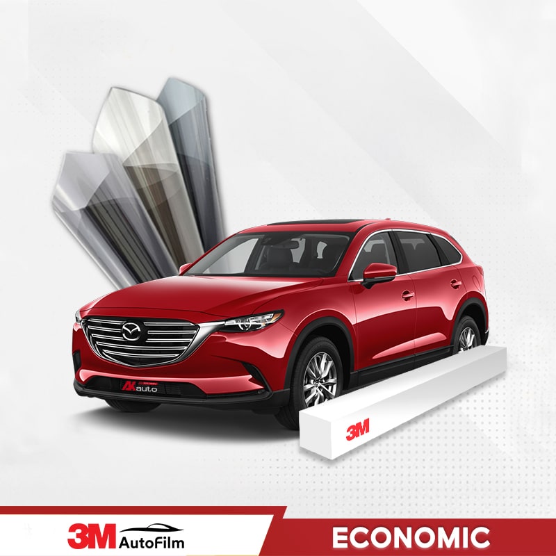 3M Economic (IR+CR)
